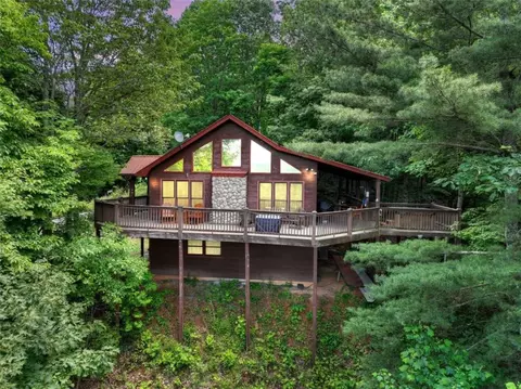 616 Bushy Head Rd, Cherry Log, GA 30522