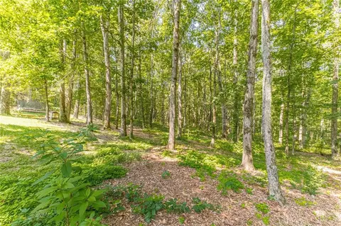 2098 Cluster Ln, Grayson, GA 30017 photo 40