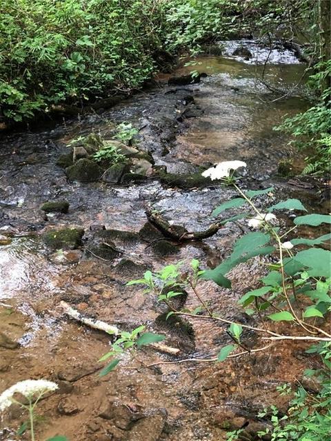 Tract4 Larmon Forks, Dahlonega, GA 30533