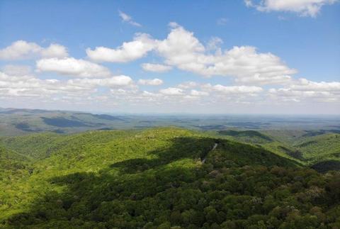 309 Burnt Mountain Ridge Rd, Jasper, GA 30143