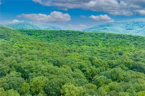 98 Sharp Top Mountain Trl, Jasper, GA 30143 photo 45