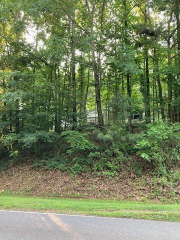 917 Curtis Rd, Canton, GA 30115
