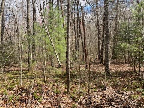 0 Moss, Fairmount, GA 30139