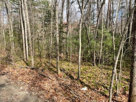 0 Moss, Fairmount, GA 30139 photo 3