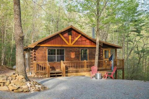 1311 Little Bushy Head Rd #247, Blue Ridge, GA 30513