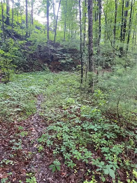 0 Quarry Ct, Ellijay, GA 30540