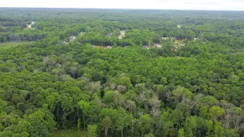 11 Stewart Loop, Jefferson, GA 30549 photo 2