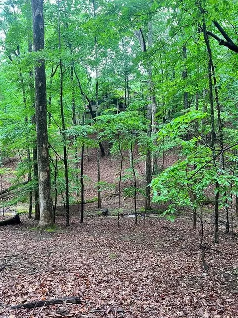 1168 Quail Cove Dr, Big Canoe, GA 30143