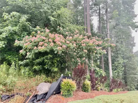 395 Willow Pointe Dr, Dallas, GA 30157