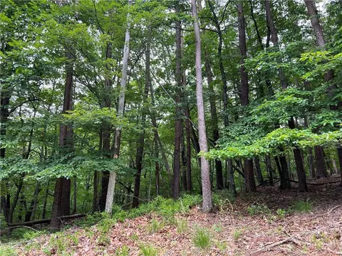 1139 Oglethorpe Mountain Rd, Jasper, GA 30143 photo 8