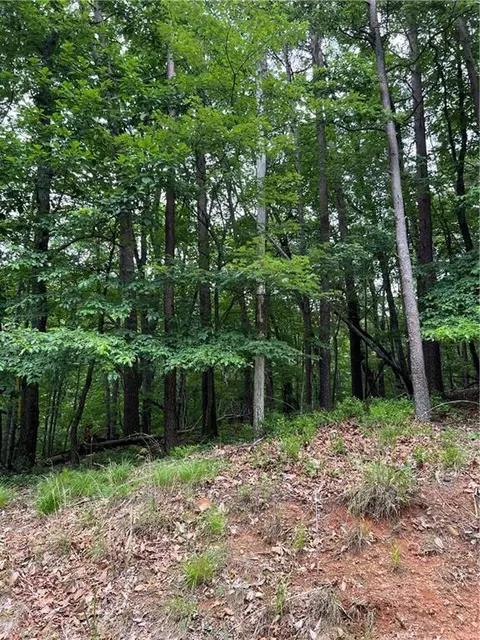 1139 Oglethorpe Mountain Rd, Jasper, GA 30143 photo 12