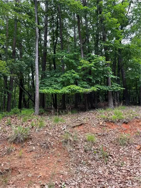 1139 Oglethorpe Mountain Rd, Jasper, GA 30143 photo 7