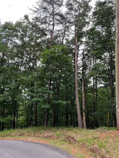 1139 Oglethorpe Mountain Rd, Jasper, GA 30143 photo 10
