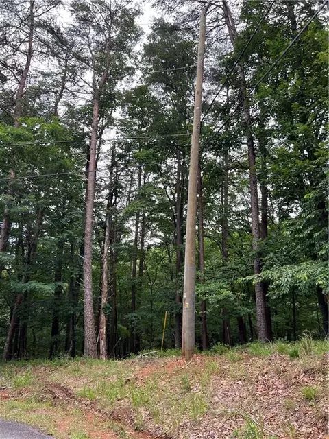 1139 Oglethorpe Mountain Rd, Jasper, GA 30143 photo 11
