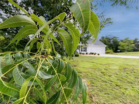 45 Ardella Dr, Covington, GA 30016 photo 34