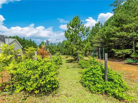 45 Ardella Dr, Covington, GA 30016 photo 33