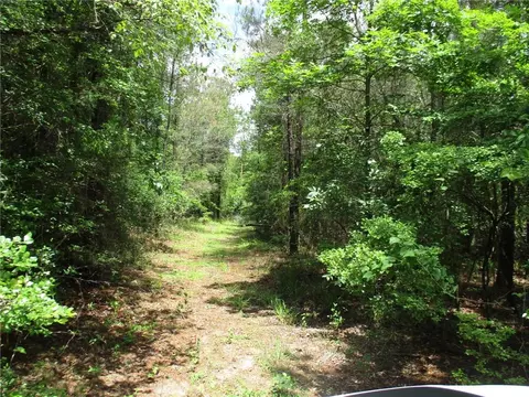 0 North St, Cuthbert, GA 31815 photo 4