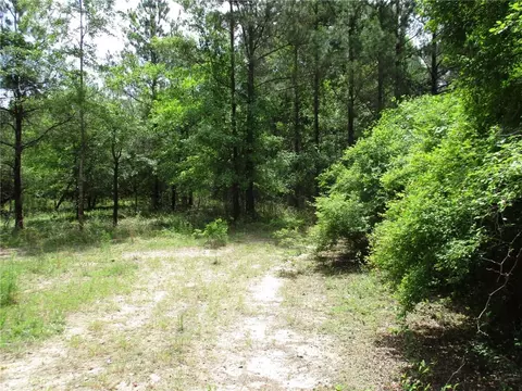 0 North St, Cuthbert, GA 31815 photo 3