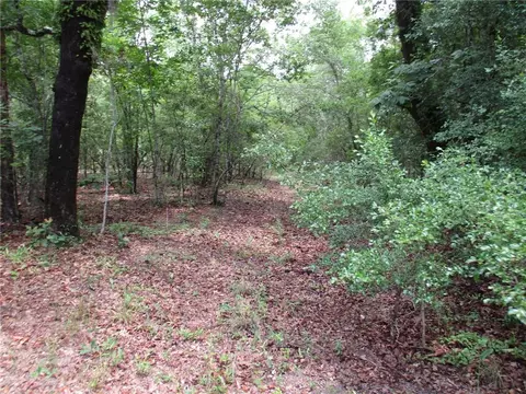 0 North St, Cuthbert, GA 31815 photo 7