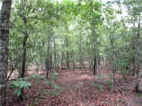 0 North St, Cuthbert, GA 31815 photo 5