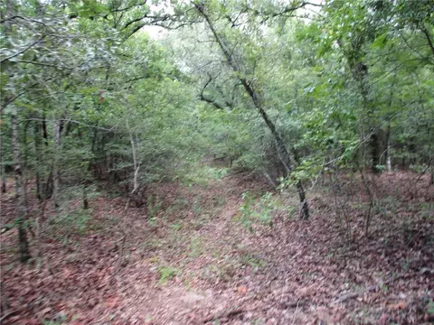 0 North St, Cuthbert, GA 31815 photo 8