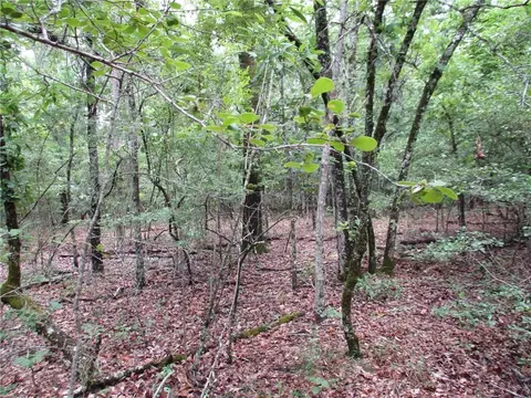0 North St, Cuthbert, GA 31815 photo 9