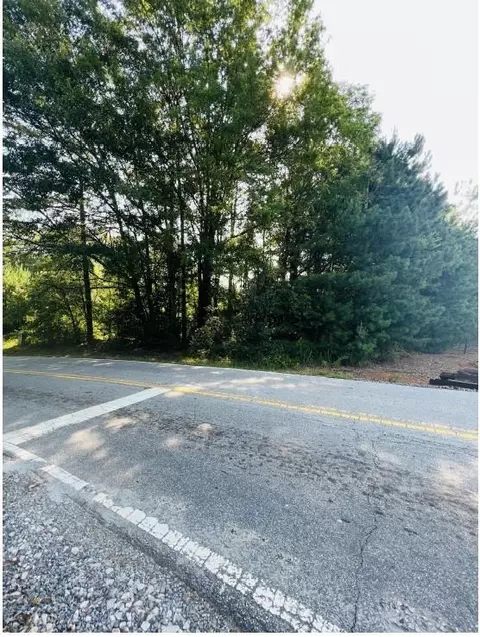 0 Mt Tabor Rd, Covington, GA 30014