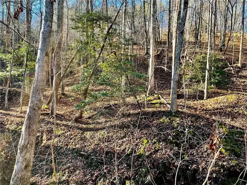50 Stamp Mill Rd, Dahlonega, GA 30533