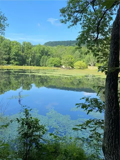 L40 Amelia Court, Ellijay, GA 30540