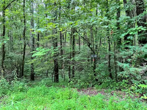 1 626 Bryant Loop, Ranger, GA 30734