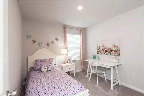 11709 Mendenhall Ct, Hampton, GA 30228 photo 20