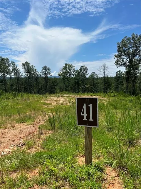 0 Bucktail Way, Ellijay, GA 30540