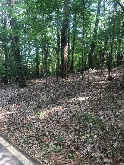 1054 Mcelroy Mountain Dr, Big Canoe, GA 30143