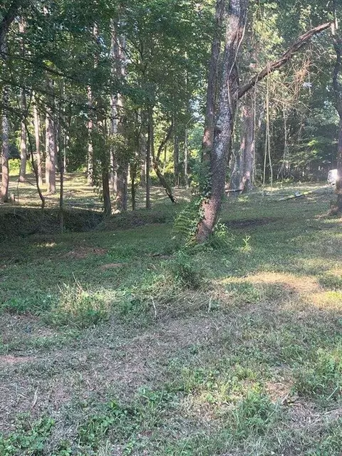 159 Sagefield Cir, Maysville, GA 30558