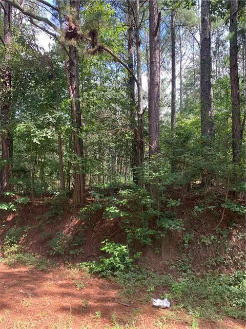 01 Frost Rd, Bowdon, GA 30108