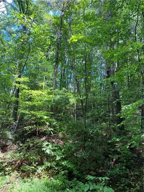 Lt7 Quarry Court, Ellijay, GA 30540
