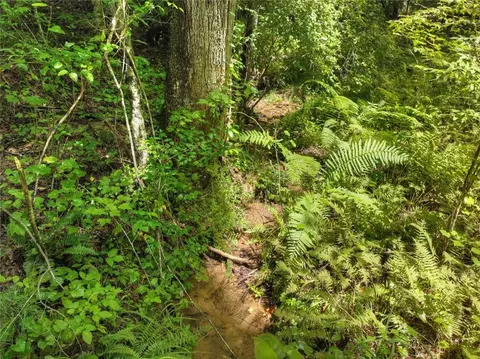 Lt 127 Red Hawk Lane, Ellijay, GA 30540