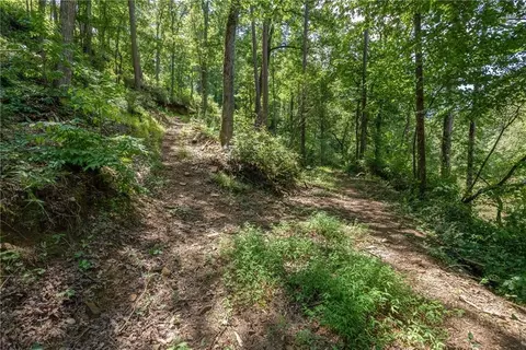 549 Cobblestone Ln, Demorest, GA 30535 photo 57
