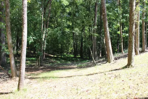 3386 Wolf Dr, Gainesville, GA 30506 photo 10