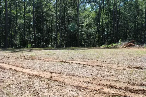 3386 Wolf Dr, Gainesville, GA 30506 photo 3