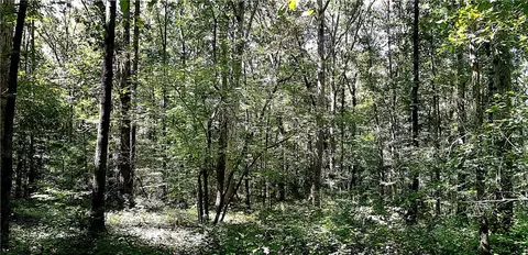 0 Pine Lake Dr, Commerce, GA 30530 photo 8