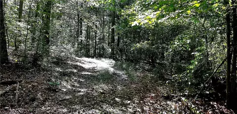 0 Pine Lake Dr, Commerce, GA 30530 photo 7