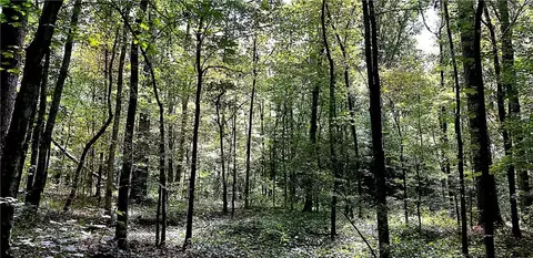 0 Pine Lake Dr, Commerce, GA 30530 photo 5