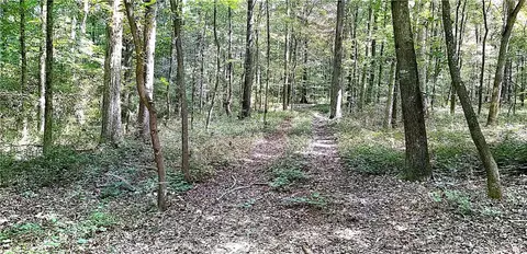 0 Pine Lake Dr, Commerce, GA 30530 photo 3