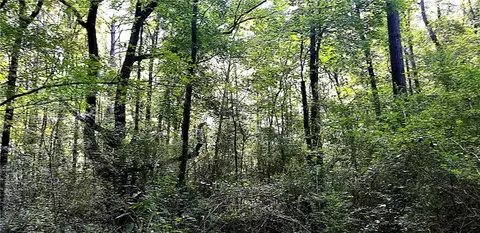 0 Pine Lake Dr, Commerce, GA 30530 photo 6