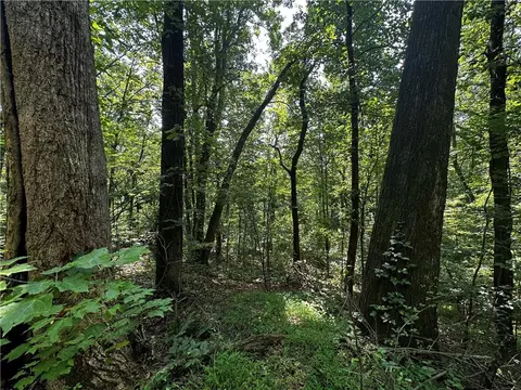 00 Bull Gap Rd E, Jasper, GA 30143 photo 9