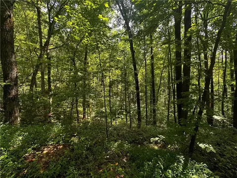00 Bull Gap Rd E, Jasper, GA 30143 photo 5