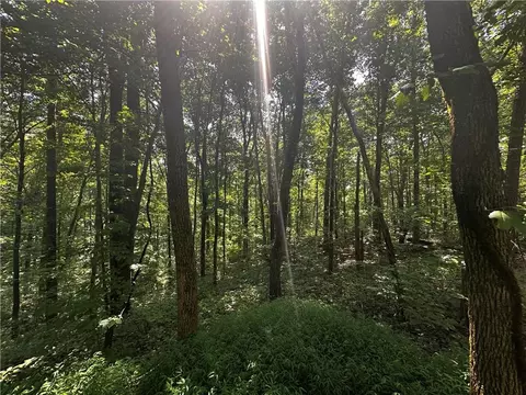 00 Bull Gap Rd E, Jasper, GA 30143 photo 3