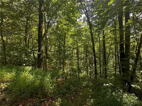 00 Bull Gap Rd E, Jasper, GA 30143 photo 4