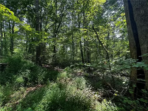 00 Bull Gap Rd E, Jasper, GA 30143 photo 8
